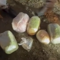 В Баку и регионах задержаны наркокурьеры-ВИДЕО