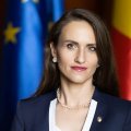 Румыния призвала НАТО ускорить поставки ПВО после инцидента с российским дроном