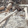 В Агдере обнаружены фрагменты костей, предположительно принадлежащие пропавшей без вести семье