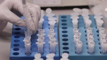Испытания вакцины от коронавируса в Японии могут начать в июле