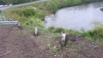В Приморье автомобиль с семьей упал в реку