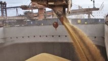 США предупредили Россию о последствиях выхода из зерновой сделки
