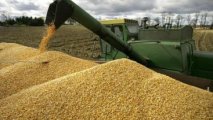 США обсуждают с Украиной предложение Зеленского о зерновой сделке без России
