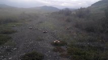 В Карабахском регионе Азербайджана обезврежены мины-ловушки – ФОТО/ВИДЕО