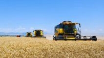 Казахстан увеличил экспорт сельхозпродукции в Китай