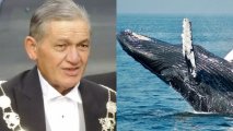 Король коренных новозеландцев призвал уравнять в правах людей и китов