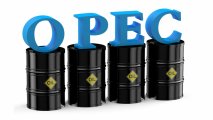 OPEC bu il Azərbaycanda karbohidrogen hasilatı üzrə proqnozunu açıqlayıb