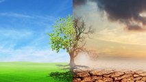 Изменения климата по-разному влияют на мужчин и женщин - Хиджран Гусейнова