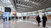 Балаян: Помощь пограничников РФ в ереванском аэропорту не нужна