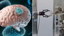 Китайские ученые внедрили новый нейроимплант в мозг обезьяны