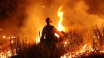 Греческий суд вынес приговор по делу о лесном пожаре 2018 года, при котором погибли более 100 человек