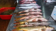 Кутум, берш и кефаль: какую рыбу трудно найти на местных рынках? - ВИДЕО
