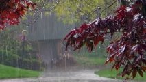 Yağış yağacaq - Faktiki hava AÇIQLANDI