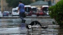 В Баку ожидаются кратковременные дожди