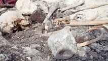 В Малыбейли обнаружены человеческие останки