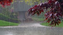Фактическая погода: В большинстве районов Азербайджана прошли сильные дожди