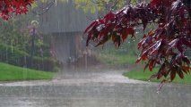 Rayonlarda yağış yağıb, şimal-qərb küləyi əsib - FAKTİKİ HAVA