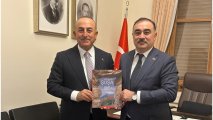 Посол Азербайджана встретился с Мевлютом Чавушоглу