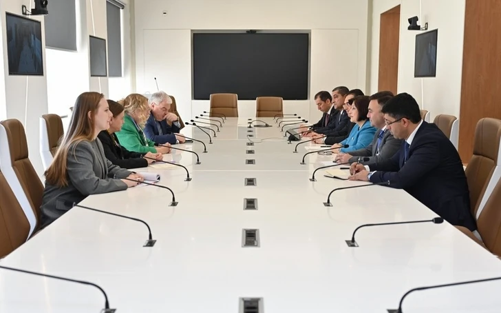 Председатель Милли Меджлиса встретилась с гендиректором отделения ООН в Женеве