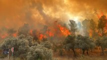 Türkiyənin üç vilayətində meşə yanır, insanlar təxliyə olunub