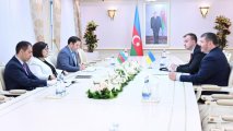 Посол Украины поблагодарил Гафарову за гумпомощь Азербайджана-(фото)