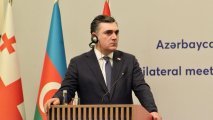 Грузию на саммите НАТО в Вашингтоне представит министр иностранных дел