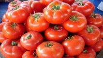 Ağ saçdan qurtulmaq istəyənlərin diqqətinə: pomidor...