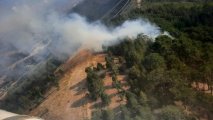 В различных районах Турции произошли лесные пожары