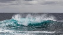 Atlantik okeanından 89 miqrantın cəsədi çıxarıldı