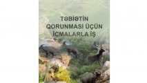 Kəlbəcər təbiətinin qorunması işi aktuallaşır