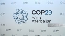 COP29 viza müraciət sistemi aktivləşdirilib