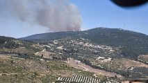 Türkiyənin Manisa bölgəsində meşə yanır, bir məhəllə təxliyə edilib