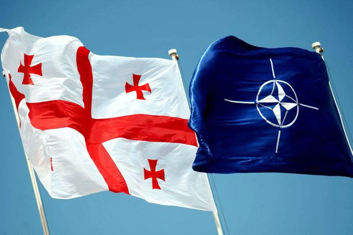 НАТО обратилось к правительству Грузии
