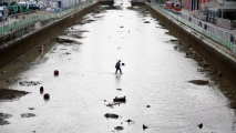 В мэрии Парижа отрицают связь между болезнями и загрязнением Сены- (видео)