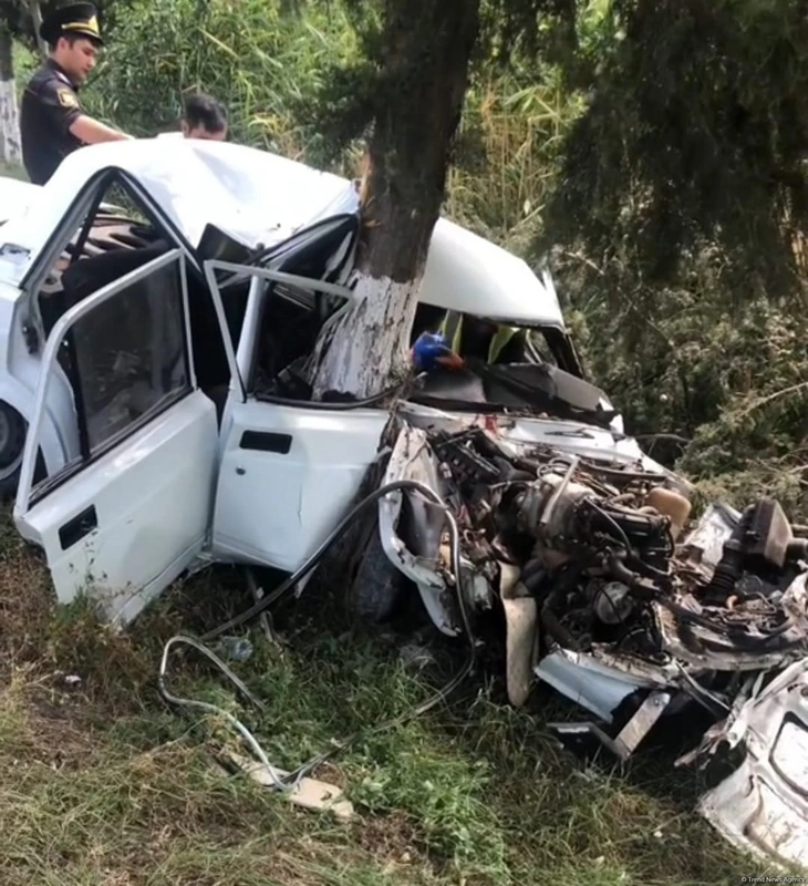 В Бейлаганском районе автомобиль врезался в дерево: есть пострадавший