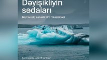 COP29 beynəlxalq sənədli film müsabiqəsinə start verir