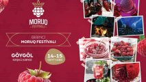 Azərbaycanda ilk dəfə “Moruq Festivalı” keçiriləcək