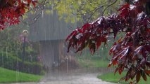 Hava ilə bağlı xəbərdarlıq - Sabahdan...