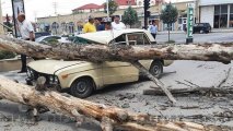 Maşın ağaca çırpıldı: 20 yaşlı gənc öldü