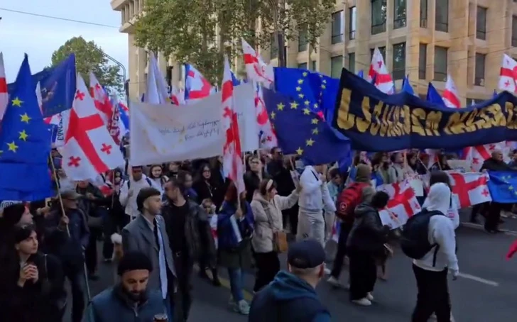 Президент Грузии присоединилась к предвыборному митингу оппозиции