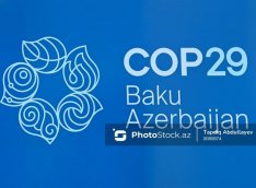 Ekspert: “COP29 iqlim məqsədlərinə çatmaqda təməl daşı ola bilər”