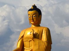 Buddizm və süni intellekt arasında əlaqələr araşdırılacaq