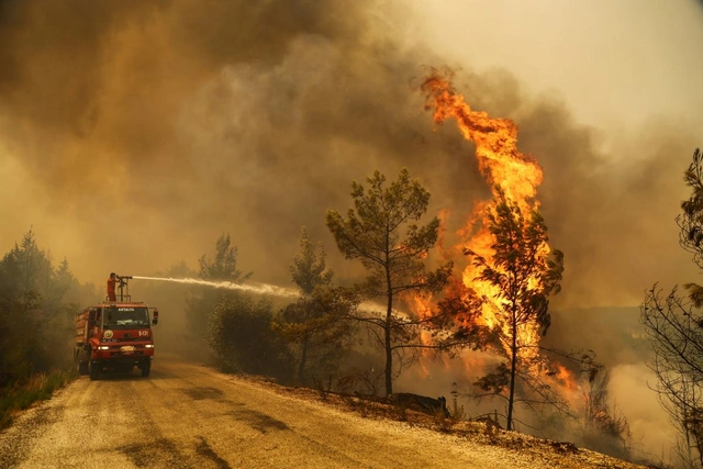 Турцию охватили лесные пожары