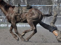 Gədəbəy sakini atdan yıxılaraq ölüb