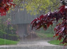 Hava ilə bağlı XƏBƏRDARLIQ - Oktyabrın 15-dək...