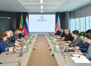 Азербайджан и Татарстан обсудили направления развития экономического партнерства - ФОТО