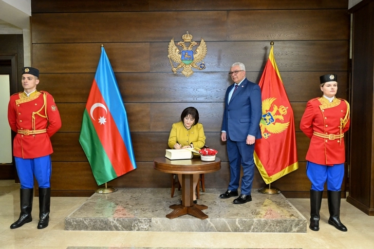 Обсуждены связи между парламентами Азербайджана и Черногории-ФОТО