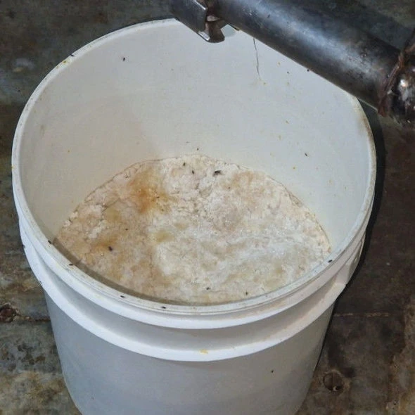 Грубое нарушение санитарных норм: в Сабирабаде прикрыли цех по производству сыра- (ФОТО)