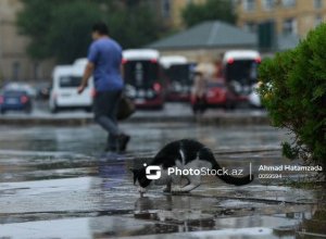 В Баку ожидаются кратковременные дожди