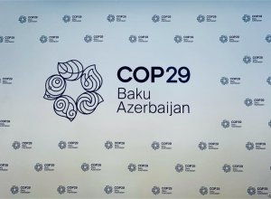 Турция представит свою программу по изменению климата на COP29